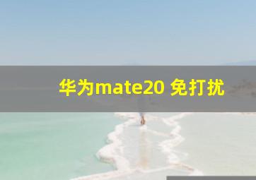 华为mate20 免打扰